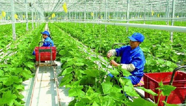 Đề xuất gần 9000 tỷ đồng hỗ trợ nông nghiệp