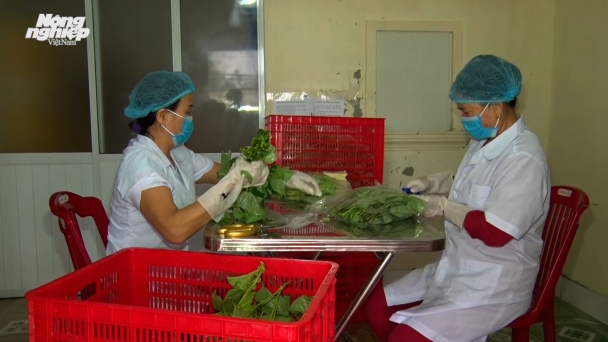 Tăng cường kiểm soát an toàn thực phẩm trong sản xuất nông nghiệp