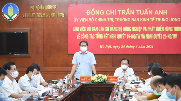 Cần những giá trị thực tiễn khi xây dựng nghị quyết về đất đai