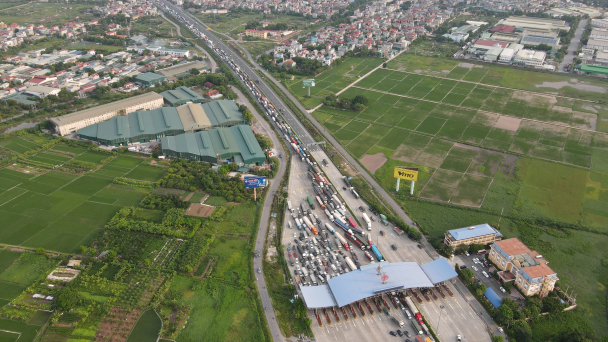 Bản tin Truyền hình Nông nghiệp tối 25/7/2021