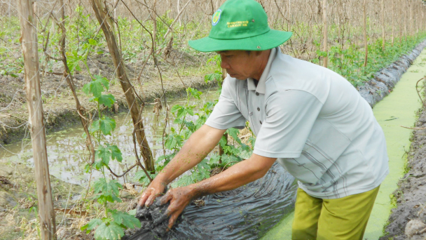 [Bài 2] - Ngăn mặn, bảo vệ vùng chuyên canh rau màu