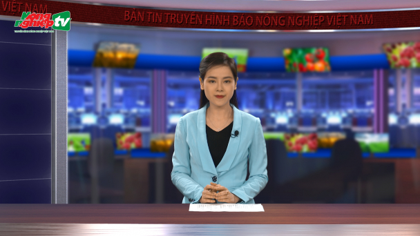Nhìn lại 3 năm thực hiện Nghị quyết 120 tại ĐBSCL