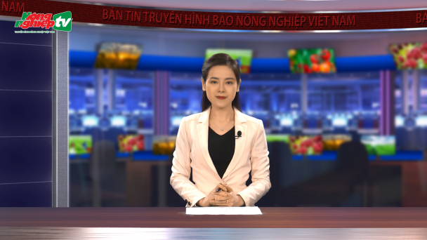 ĐBSCL xoay trục chiến lược phát triển ngành tôm