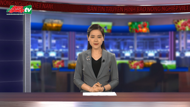 Tìm lời giải cho vương quốc khoai lang lớn nhất nước