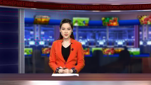 Mạnh dạn sản xuất nhờ nguồn nước được kiểm soát