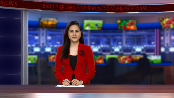 Sản xuất cà phê Tây Nguyên ổn định nhờ VnSAT