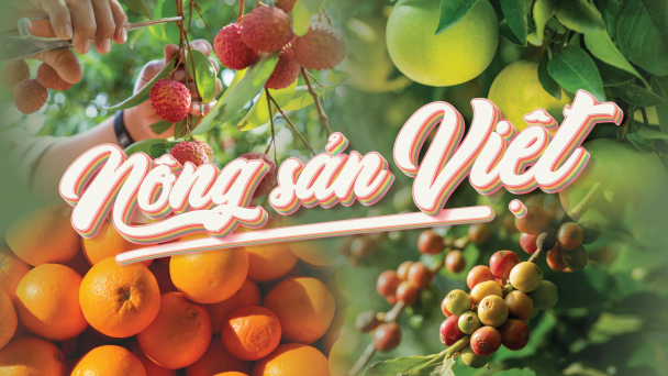 Tâm lực kiều bào kết nối tinh hoa nông sản Việt