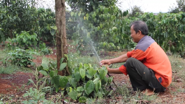 Nông dân hưởng lợi từ hệ thống tưới tiết kiệm