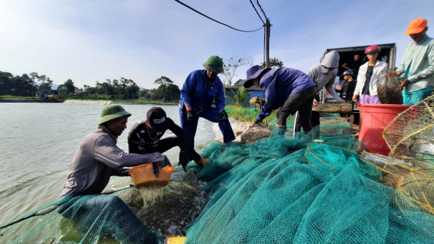 Quảng Ninh nỗ lực gỡ ‘thẻ vàng' IUU