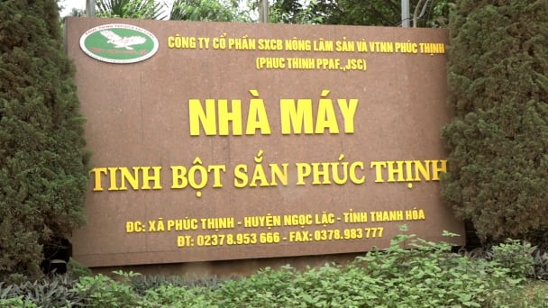 Trong nhà máy sắn 'không bỏ một thứ gì'