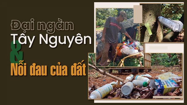 [Bài 1] Những khu vườn ngập ngụa hóa chất ở Đắk Lắk