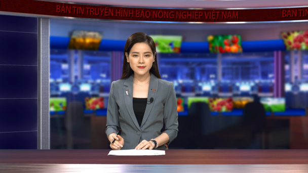 VnSAT giúp nông dân Tây Nguyên tái canh cà phê hiệu quả