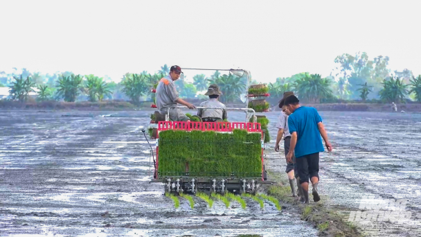 VnSAT chặng đường 6 năm gắn bó với kỹ thuật canh tác lúa tiên tiến