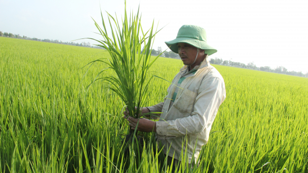 VnSAT mang lại lợi nhuận kép trong chuyển đổi nông nghiệp