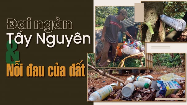Các giải pháp ngắn hạn, dài hạn theo hướng bền vững, thuận tự nhiên
