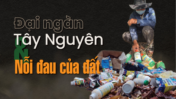 Canh tác đúng cách giúp giải bài toán lạm dụng phân thuốc hóa học