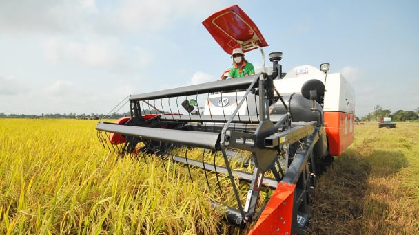 Ngành nông nghiệp An Giang đạt giá trị gần 17 ngàn tỷ đồng trong quý I/2022
