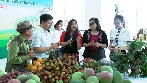 Sơn La không để xảy ra tình trạng ‘giải cứu nông sản’