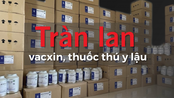 Tràn lan vacxin, thuốc thú y lậu: [Bài 5] Shopee - 'thiên đường' mua bán vacxin thú y không phép