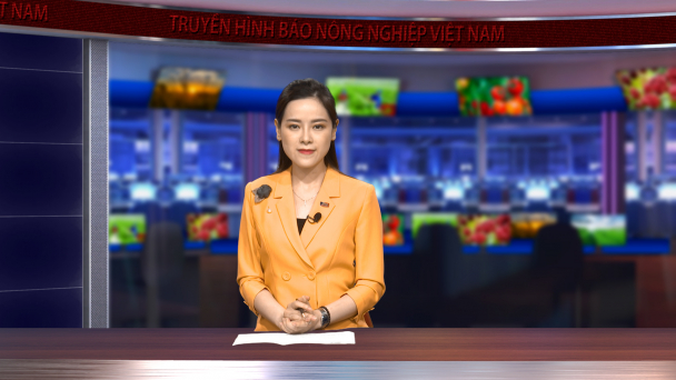 Cấp thiết đầu tư, nâng cấp hạ tầng các cảng cá
