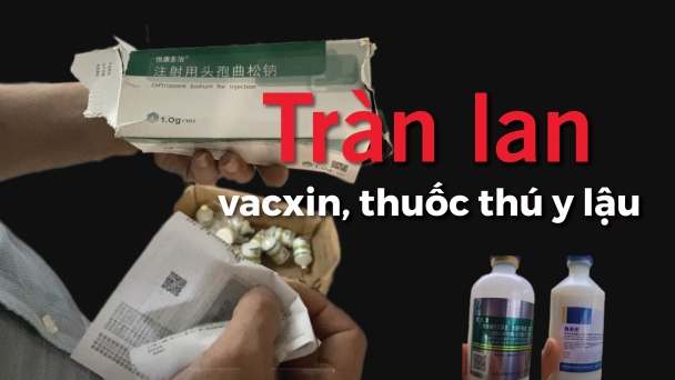 [Bài 7]: Lời 'gan ruột' của các nhà quản lý chuyên ngành thú y