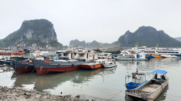 Quảng Ninh lên phương án ứng phó với bão số 1