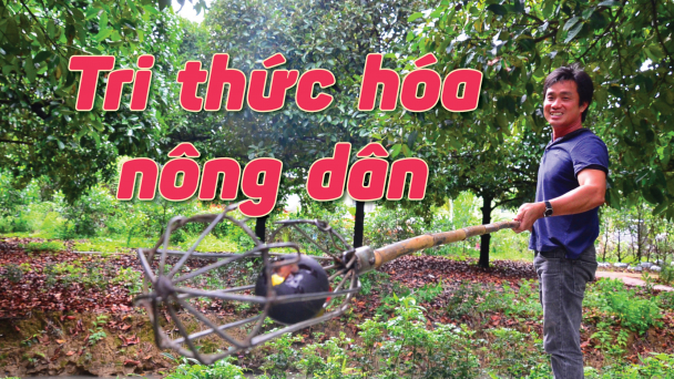 [Bài 11]: Ăn quả cây hơn 100 tuổi và uống cà phê chồn ở Bến Tre