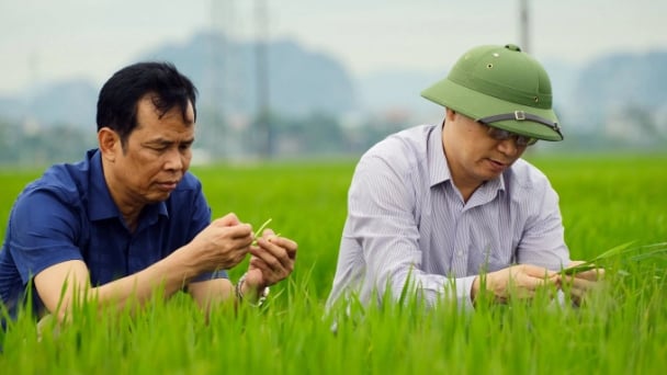 Xây dựng kế hoạch hành động 10 năm về sức khỏe cây trồng