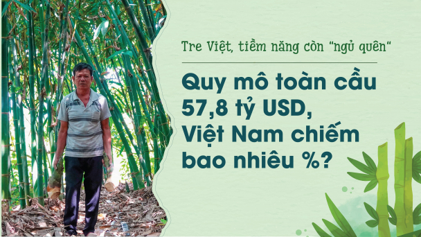 Tre Việt, tiềm năng còn 'ngủ quên': Quy mô toàn cầu 57,8 tỷ USD, Việt Nam chiếm bao nhiêu %?