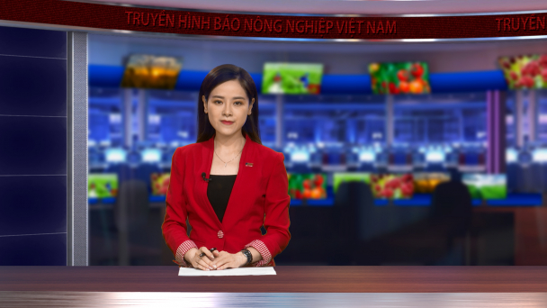 Từ giống vịt biển đa năng tới sản phẩm OCOP 4 sao đẳng cấp