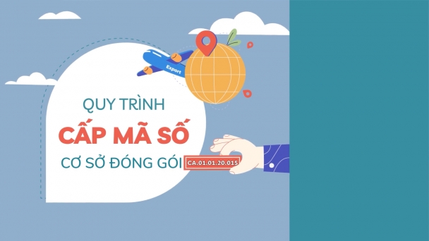 Quy trình cấp mã số cơ sở đóng gói xuất khẩu