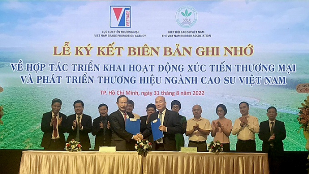 Hợp tác xúc tiến thương mại và phát triển thương hiệu ngành cao su