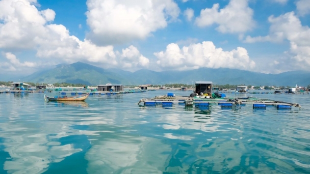 Nghề nuôi biển: Cần bảo vệ môi trường, hạn chế dịch bệnh