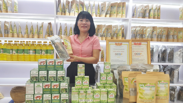 Bỏ việc nhà nước để gây dựng thương hiệu dược liệu Cự Nẫm