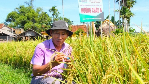 Vinaseed đồng hành cùng nông dân Quảng Ngãi