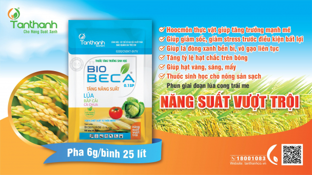 An toàn tuyệt đối với hoocmon thực vật thế hệ mới TT Biobeca