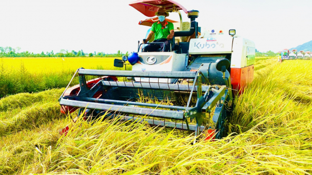9 tháng đầu năm ngành nông nghiệp TP Cần Thơ tăng trưởng 3,29%