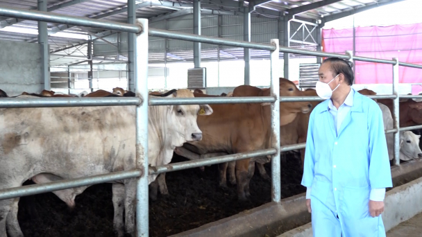 Lập hệ sinh thái, tháo gỡ khó khăn và khai thác hết dư địa ngành hàng