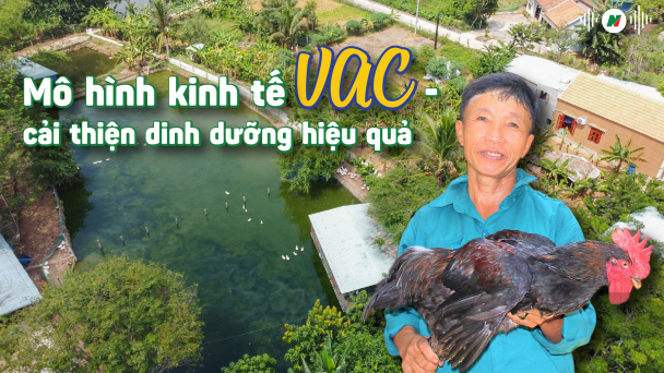 Mô hình kinh tế VAC – Cải thiện dinh dưỡng hiệu quả
