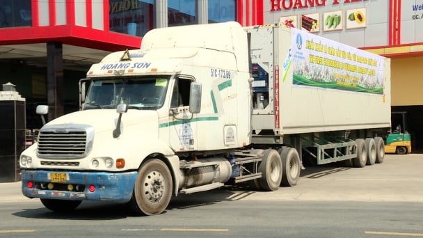 Việt Nam xuất khẩu lô nhãn đầu tiên sang Nhật Bản