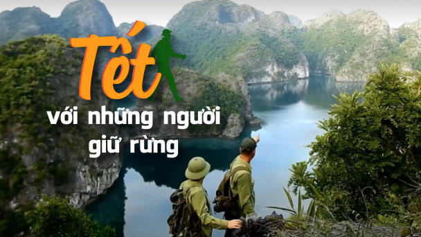 Dập dềnh phận gác rừng trên biển