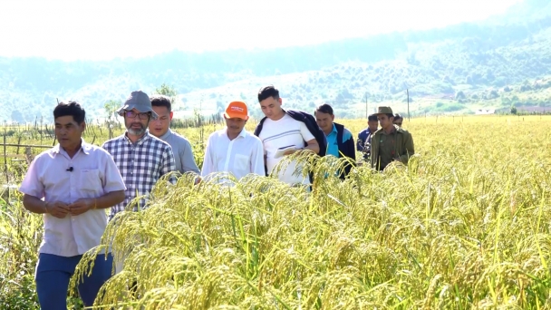 Phóng sự truyền hình đặc biệt - Chuyện hạ nguồn Mekong: Đánh thức giấc mơ nông nghiệp Lào