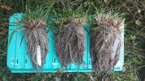 Reducing pesticide pollution and harvesting intensity can increase crop yield and help in climate change mitigation