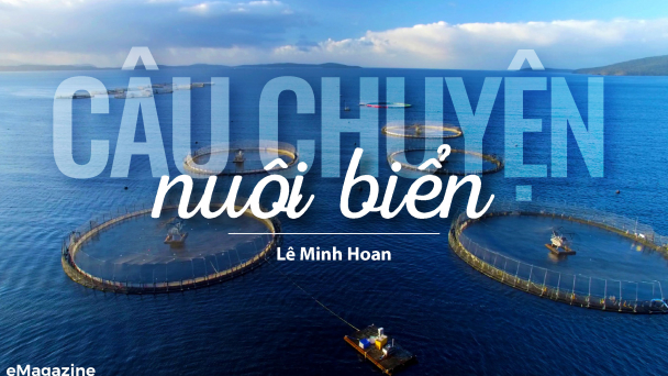 Câu chuyện nuôi biển