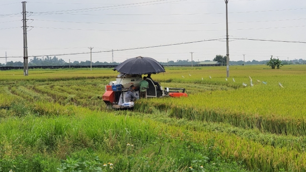 Góp ý Dự thảo Luật Đất đai sửa đổi: Cần giải phóng, sử dụng hiệu quả hơn đất nông nghiệp