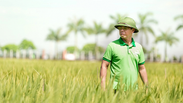 Luật Đất đai sửa đổi phải bảo vệ được đất rừng, đất lúa