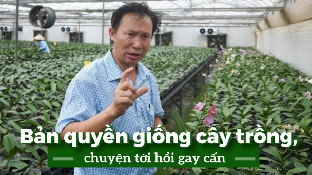 Có tiền mà chẳng dám tiêu...