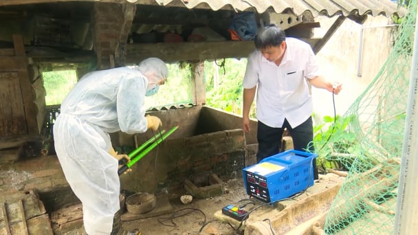 Bắc Kạn chủ động ứng phó dịch tả lợn Châu Phi