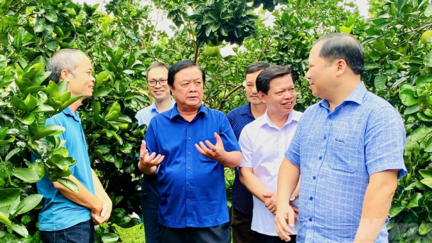 Đưa khuyến nông cộng đồng thành lực lượng chủ lực ngành nông nghiệp ở cơ sở
