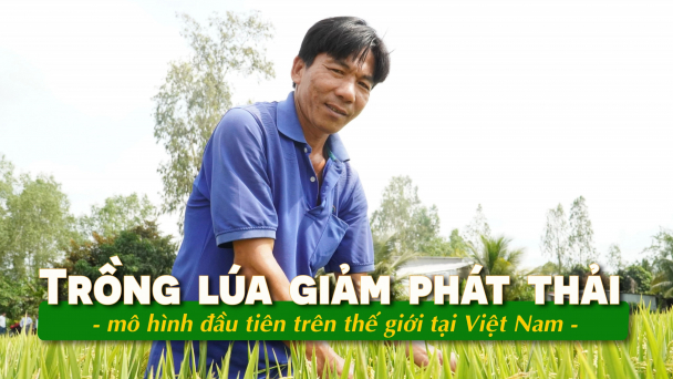 WB: Cần 3.890 USD cho mỗi ha để đạt mức giảm phát thải bằng 0
